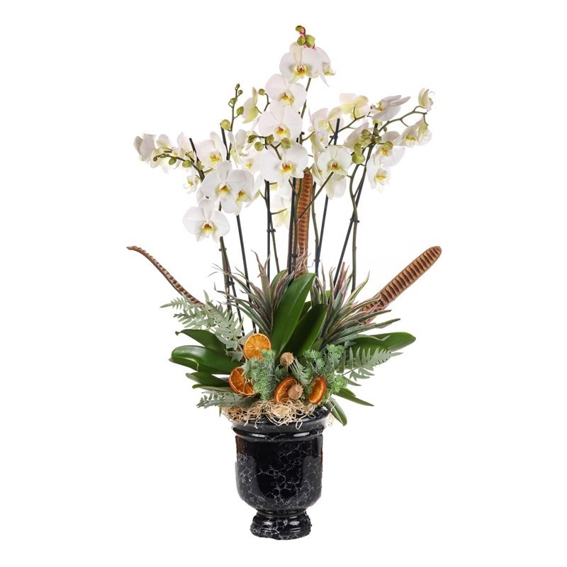 Winter Orchid Luxe